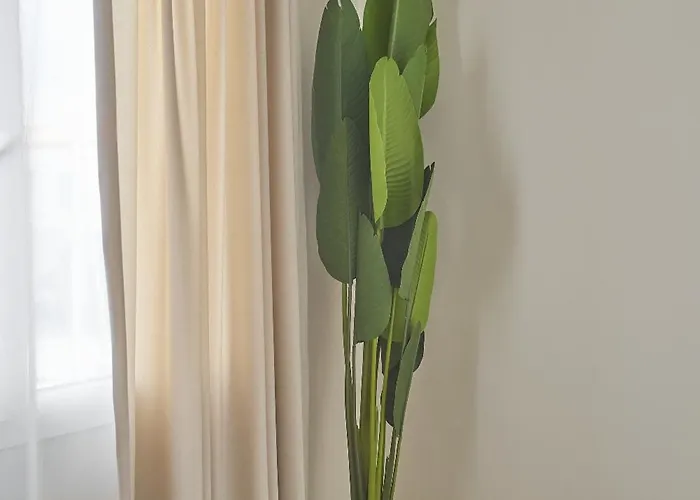 Wake Cup Alacati Çeşme